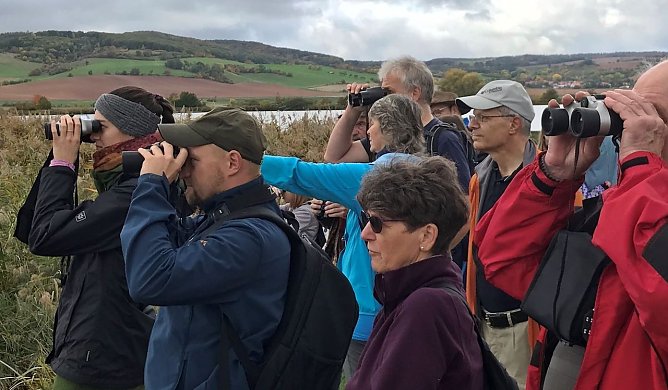 Beobachtung von Kranichen und anderen seltenen V&ouml;geln (Foto: S.Staubitz)