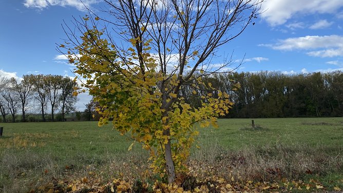 Auch das Ende des Oktobers zeigt sich von seiner besten Seite (Foto: oas)