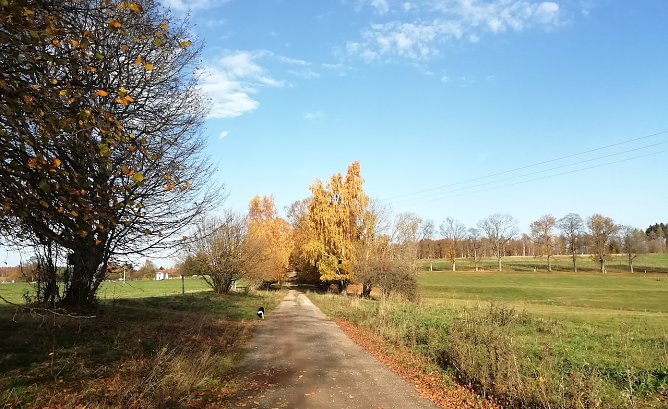 Sophienhof heute unter sch&ouml;nstem Sonnenschein bei morgendlichen Temperaturen von 15 Grad, die zum wandern einladen (Foto: W.J&ouml;rgens)