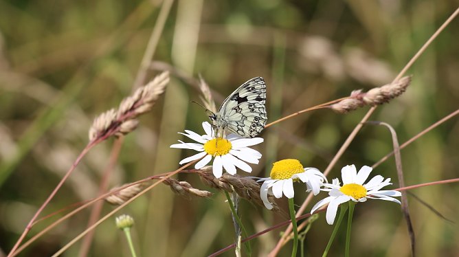Trost finden im Gespr&auml;ch (Foto: Eva Maria Wiegand)