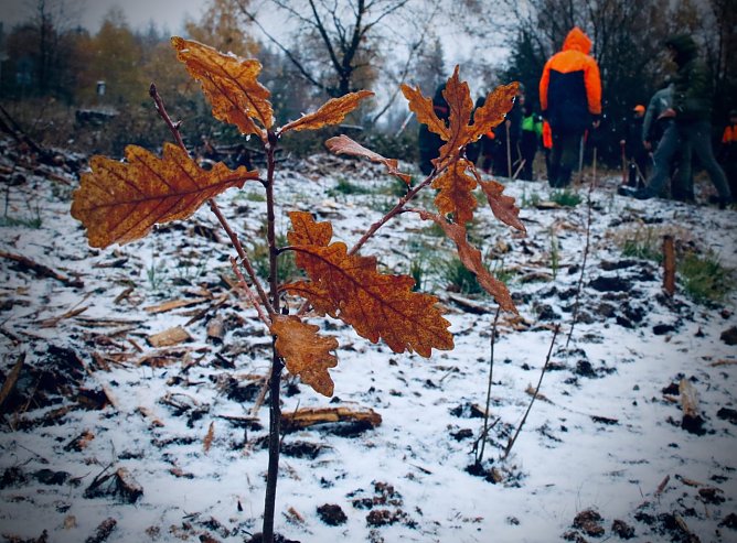 Wetterbild (Foto: agl) Wetterbild (Foto: agl)