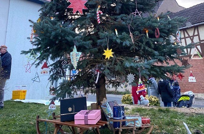Geschm&uuml;ckter Baum in Gro&szlig;berndten  (Foto: Roswitha Krystek )