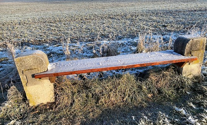 Morgenfrost (Foto: Hans-Georg Schulze)