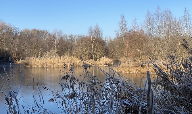 Im Wochenverlauf wird es wieder kälter, Silvester aber wärmer (Foto: oas) Im Wochenverlauf wird es wieder kälter, Silvester aber wärmer (Foto: oas)