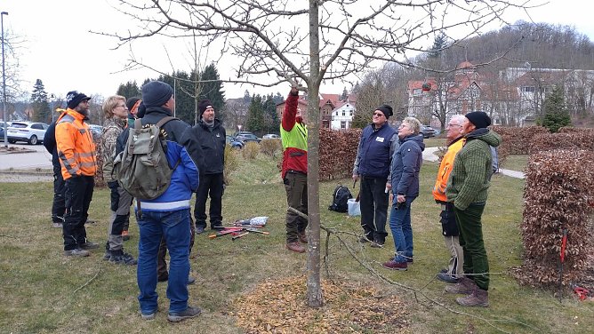 Richtig trimmen will gelernt sein (Foto: Landschaftspflegeverband) Richtig trimmen will gelernt sein (Foto: Landschaftspflegeverband)