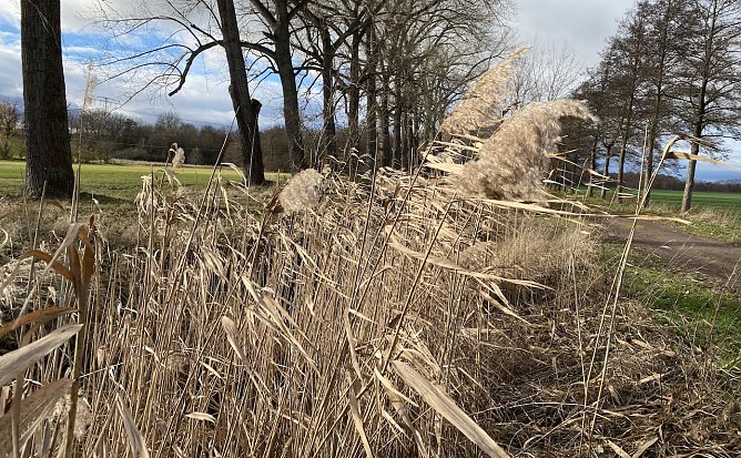 Die Temperaturen bleiben weiter wenig winterlich (Foto: oas) Die Temperaturen bleiben weiter wenig winterlich (Foto: oas)