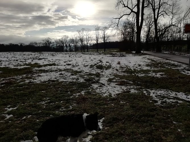 Wokenverhangen und grau zeigte sich heute morgen auch der Harz (Foto: W. J&ouml;rgens)