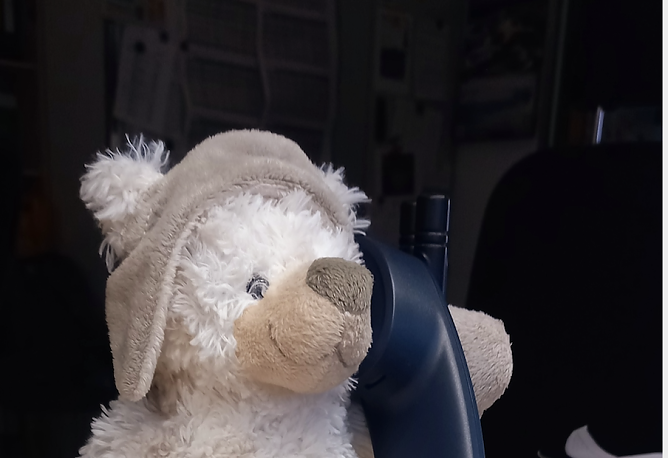 Der Vermisste Pl&uuml;scheisb&auml;r (Foto: Landespolizeiinspektion Nordhausen)