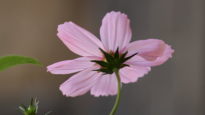 Mit der Trauer nicht alleine sein - Treffen Verwaister Eltern (Foto: Eva Maria Wiegand)