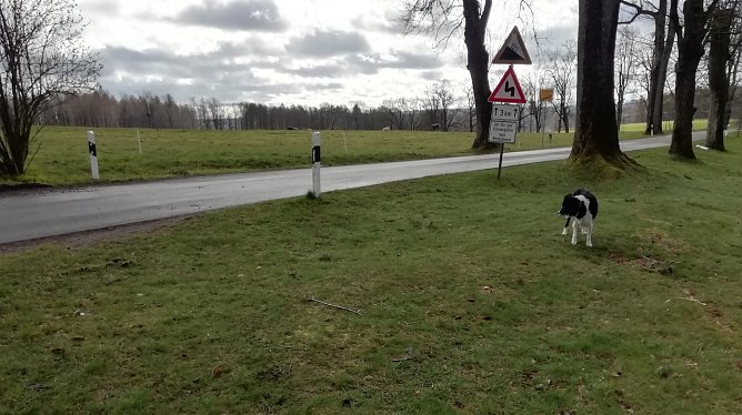 Drei Grad, starker Wind und zeitweise Sonne heute Morgen in Sophienhof iim Harz (Foto: W.J&ouml;rgens)