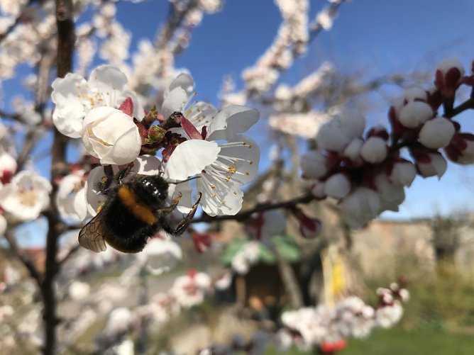 Wetterbild (Foto: nnz)
