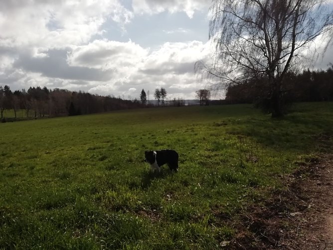 In Sophienhof ist man wieder an der Null-Grad Marke angekommen (Foto: W. Jörgens) In Sophienhof ist man wieder an der Null-Grad Marke angekommen (Foto: W. Jörgens)