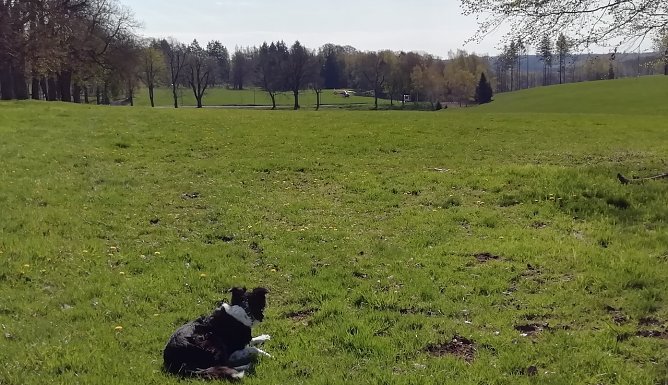 Bei diesem Wetter heute kann man getrost den Hund vor die Tür jagen (Foto: W.Jörgens) Bei diesem Wetter heute kann man getrost den Hund vor die Tür jagen (Foto: W.Jörgens)