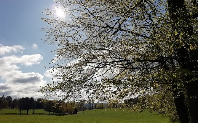 Zehn Grad und viel Sonne vermeldet Sophienhof heute Morgen (Foto: W. Jörgens) Zehn Grad und viel Sonne vermeldet Sophienhof heute Morgen (Foto: W. Jörgens)