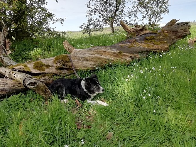 So lässt's sich aushalten (Foto: W. Jörgens) So lässt's sich aushalten (Foto: W. Jörgens)