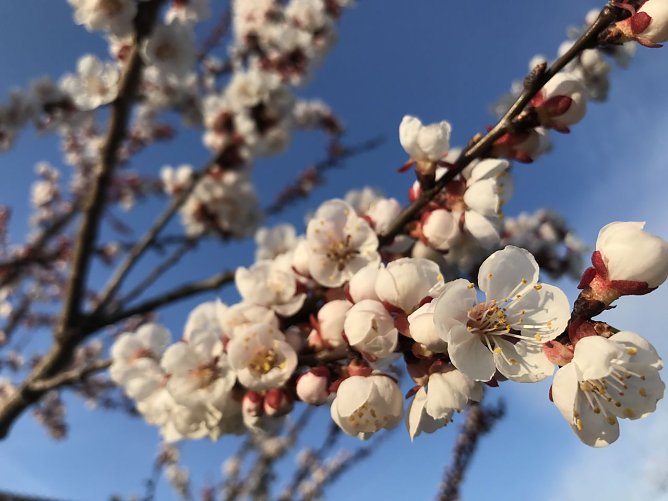 Wetterbild (Foto: nnz-Archiv) Wetterbild (Foto: nnz-Archiv)