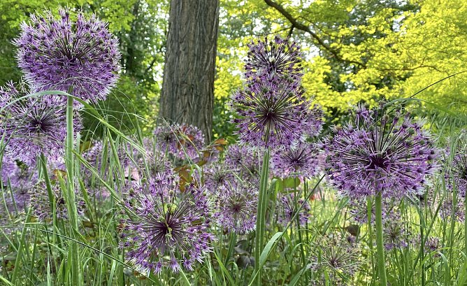 Ungebremstes Super-Pfingstwetter in den n&auml;chsten Tagen (Foto: Eva Maria Wiegand)
