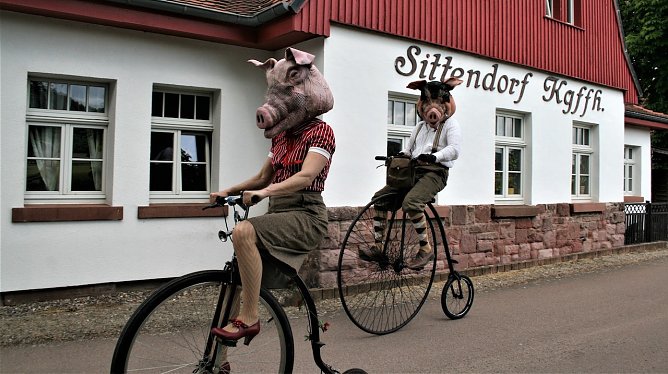 Herr Eber und Frau Sau (Foto: U. Reinboth)