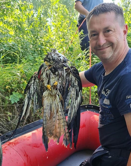 Tierische Rettungsaktion (Foto: Silvio Dietzel)