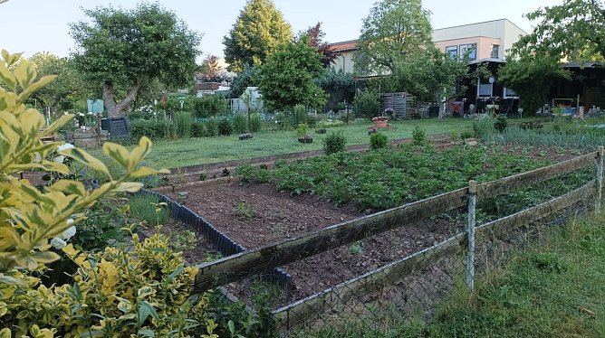 Bei den Kleing&auml;rtnern der Anlage "Gl&uuml;ckauf" werden demn&auml;chst die G&auml;rten ge&ouml;ffnet (Foto: T. Leipold)