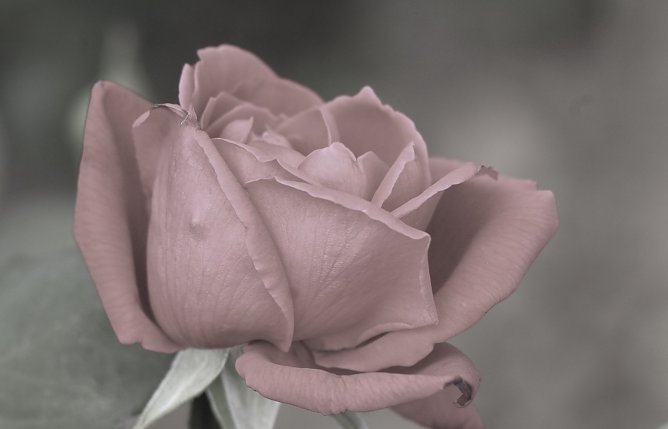 Spendenaufruf für verstorbene Feuerwehrfrau (Foto: Eva Maria Wiegand) Spendenaufruf für verstorbene Feuerwehrfrau (Foto: Eva Maria Wiegand)