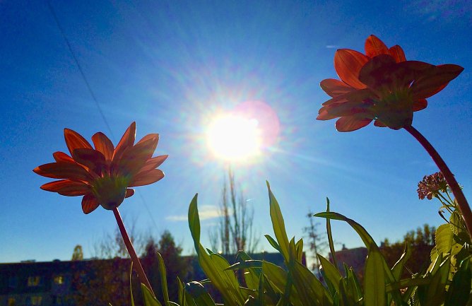 Damit der Sommertag zu einem schönen Erlebnis wird (Foto: Eva Maria Wiegand) Damit der Sommertag zu einem schönen Erlebnis wird (Foto: Eva Maria Wiegand)