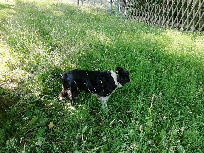 Im Schatten l&auml;sst es sich aushalten - auch hoch oben in Sophienhof (Foto: W. J&ouml;rgens)