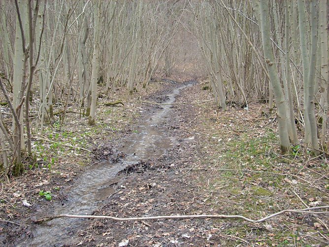 Wasser auf Wanderweg (Foto: Karl-Heinz Herrmann)