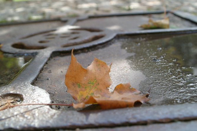 Wetterbild (Foto: nnz) Wetterbild (Foto: nnz)