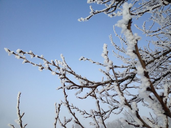 Wetterbild (Foto: nnz) Wetterbild (Foto: nnz)