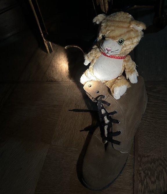 Taschenlampenf&uuml;hrung im Schlossmuseum Sondershausen (Foto: Janine Skara)