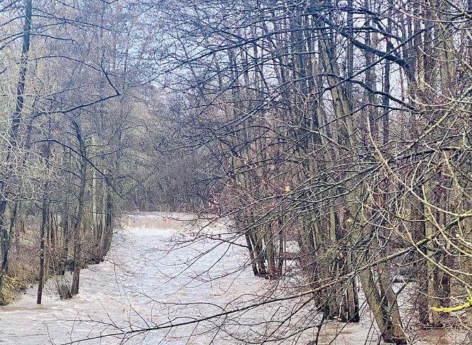 Wetterbild (Foto: S. M&uuml;ller)