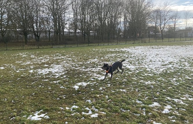 Kommt der Winter auch bald ins Flachland zurück? (Foto: oas) Kommt der Winter auch bald ins Flachland zurück? (Foto: oas)