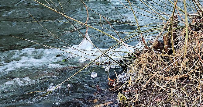 An der Zorge blühen die Eisblumen (Foto: Peter Blei) An der Zorge blühen die Eisblumen (Foto: Peter Blei)