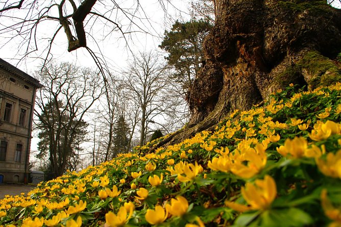 Wetterbild (Foto: agl)
