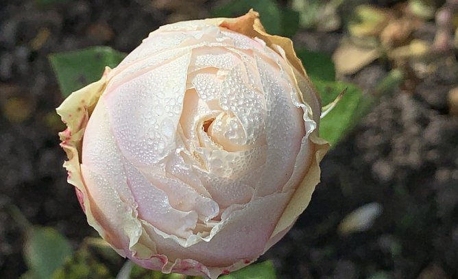 Symbolbild (Foto: Eva Maria Wiegand) Symbolbild (Foto: Eva Maria Wiegand)