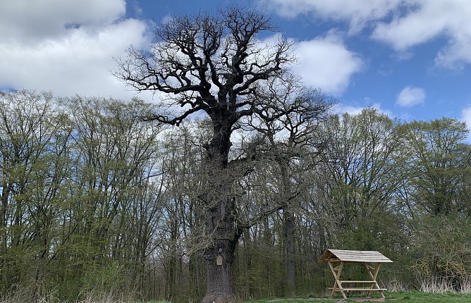 Wetter (Foto: Eva Maria Wiegand)