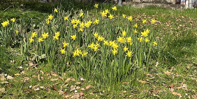 Sommerliches Wetter lockt am Wochenende in die aufblühende Natur (Foto: oas) Sommerliches Wetter lockt am Wochenende in die aufblühende Natur (Foto: oas)