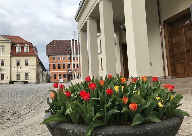 Rathaus in Sondershausen (Foto: Eva Maria Wiegand) Rathaus in Sondershausen (Foto: Eva Maria Wiegand)