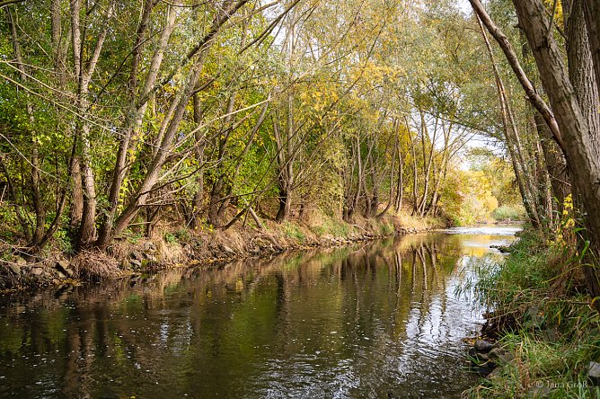 Die Wipper von der Quelle bis zur M&uuml;ndung (Foto: Jana Gro&szlig;)