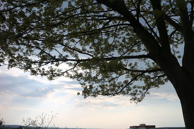 Wetterbild (Foto: agl) Wetterbild (Foto: agl)