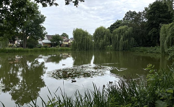 Heftige Regenfälle bedrohen Veranstaltungen am Samstag (Foto: oas) Heftige Regenfälle bedrohen Veranstaltungen am Samstag (Foto: oas)