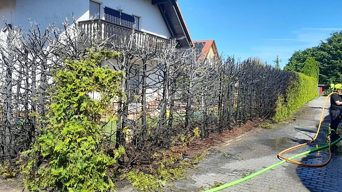 Feuerwehreinsatz an einer Hecke (Foto: Feuerwehr/S.Dietzel) Feuerwehreinsatz an einer Hecke (Foto: Feuerwehr/S.Dietzel)