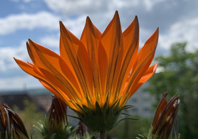 Etwas Regen und starker Wind (Foto: emw) Etwas Regen und starker Wind (Foto: emw)
