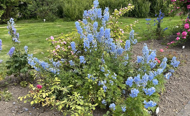 Schauer und Kühle bleiben weiter wetterbestimmend (Foto: oas) Schauer und Kühle bleiben weiter wetterbestimmend (Foto: oas)