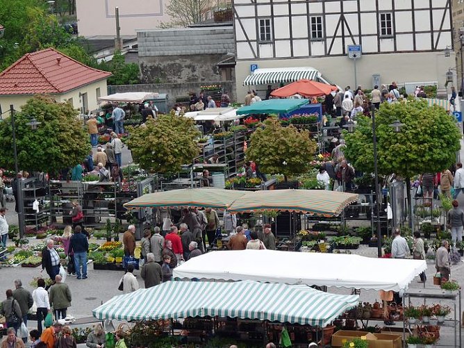 Pflanzenmarkt Sondershausen (Foto: Karl-Heinz Herrmann)