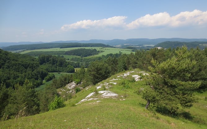 Die Sattelk&ouml;pfe bei H&ouml;rningen (Foto: Landschaftspflegeverband S&uuml;dharz/Kyffh&auml;user)
