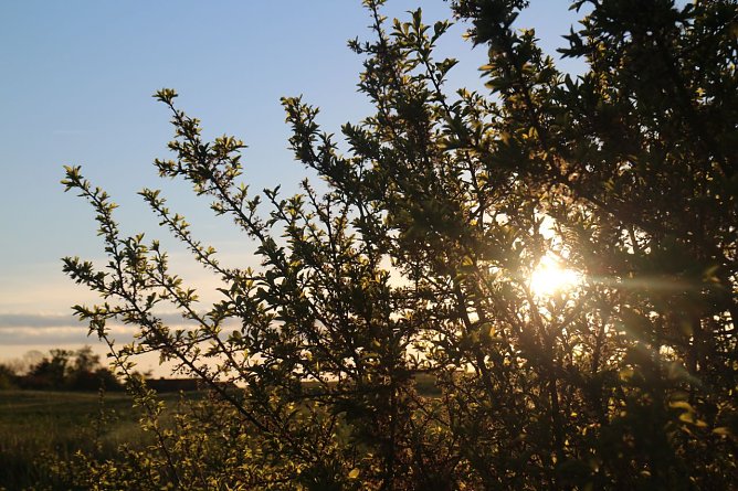 Wetterbild (Foto: agl)