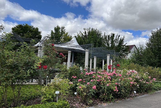 Rosengarten Bad Langensalza (Foto: oas) Rosengarten Bad Langensalza (Foto: oas)