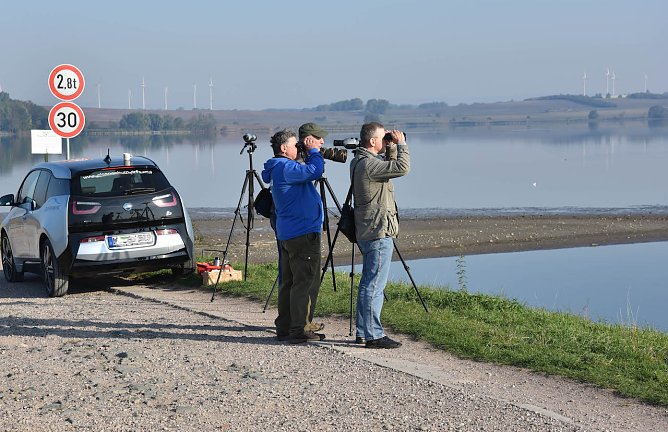Vogelbeobachtung in Henschleben (Foto: Tino Sauer) Vogelbeobachtung in Henschleben (Foto: Tino Sauer)